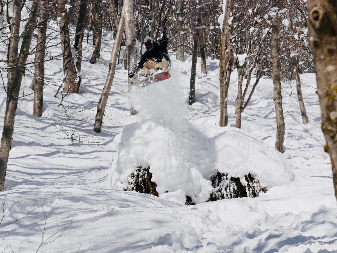 Madarao Mountain Lodge Iijama Kültér fotó